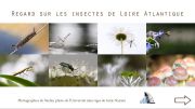EBook-insectes-Copier